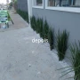 Foto 1:  CH Jardinagem e Paisagismo 