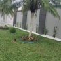 Foto 1:  CH Jardinagem e Paisagismo 