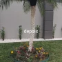Foto 1:  CH Jardinagem e Paisagismo 