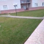 Foto 1:  CH Jardinagem e Paisagismo 