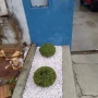 Foto 1:  CH Jardinagem e Paisagismo 