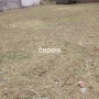 Foto 1:  CH Jardinagem e Paisagismo 