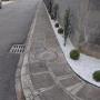 Foto 1:  CH Jardinagem e Paisagismo 