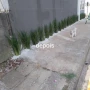 Foto 1:  CH Jardinagem e Paisagismo 