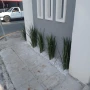 Foto 1:  CH Jardinagem e Paisagismo 