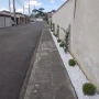 Foto 1:  CH Jardinagem e Paisagismo 