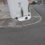 Foto 1:  CH Jardinagem e Paisagismo 