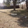 Foto 1:  CH Jardinagem e Paisagismo 