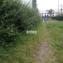 Foto 1:  CH Jardinagem e Paisagismo 