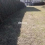 Foto 1:  CH Jardinagem e Paisagismo 