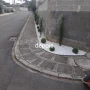 Foto 1:  CH Jardinagem e Paisagismo 