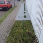 Foto 1:  CH Jardinagem e Paisagismo 