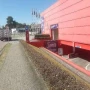 Foto 1:  CH Jardinagem e Paisagismo 