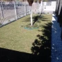 Foto 1:  CH Jardinagem e Paisagismo 