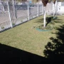 Foto 1:  CH Jardinagem e Paisagismo 