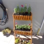 Foto 1:  CH Jardinagem e Paisagismo 