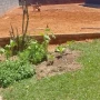 Foto 1:  CH Jardinagem e Paisagismo 