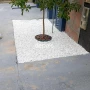 Foto 1:  CH Jardinagem e Paisagismo 