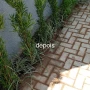 Foto 1:  CH Jardinagem e Paisagismo 